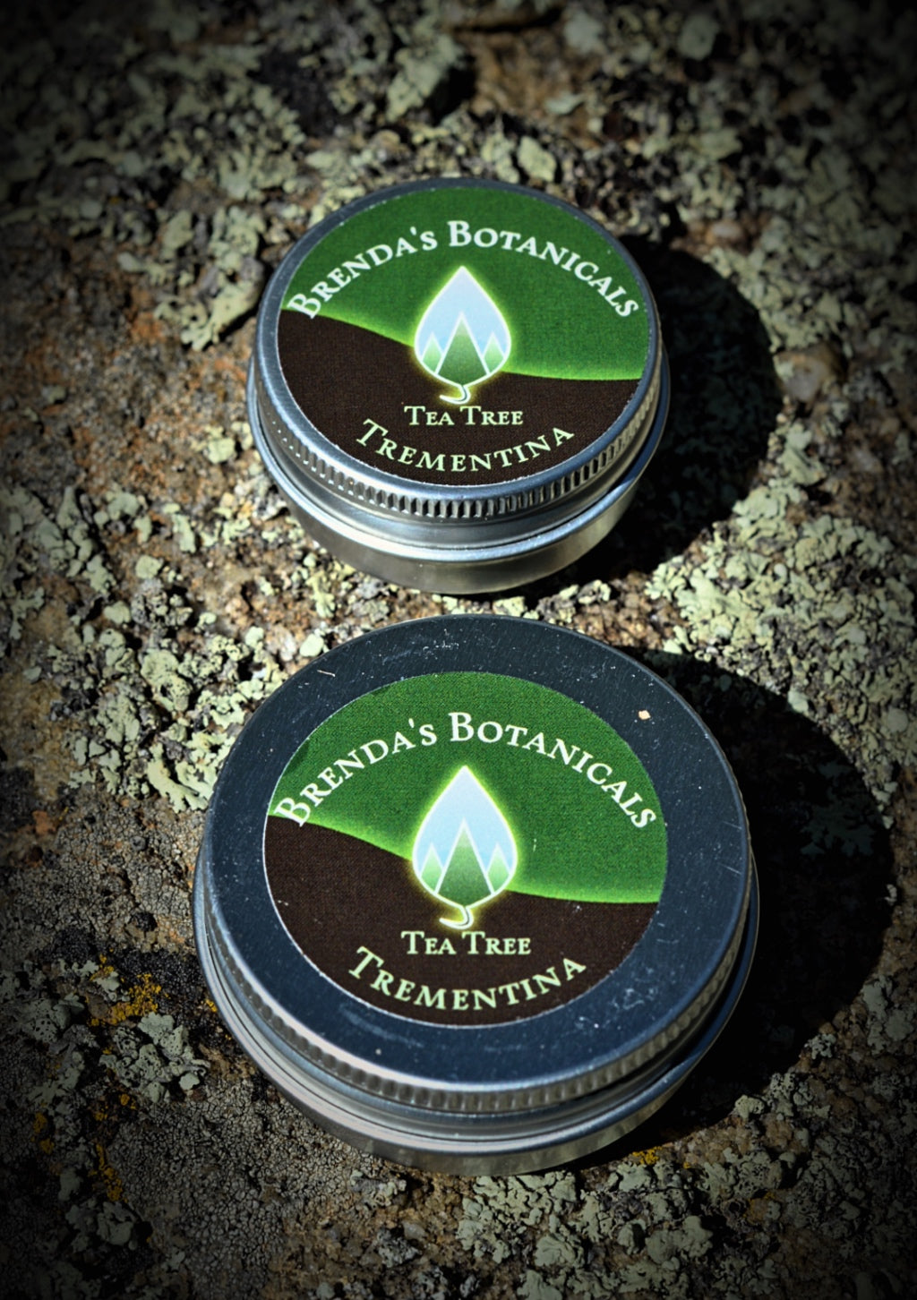 Brenda's Botanicals Piñon (Trementina) Salve - Tea Tree