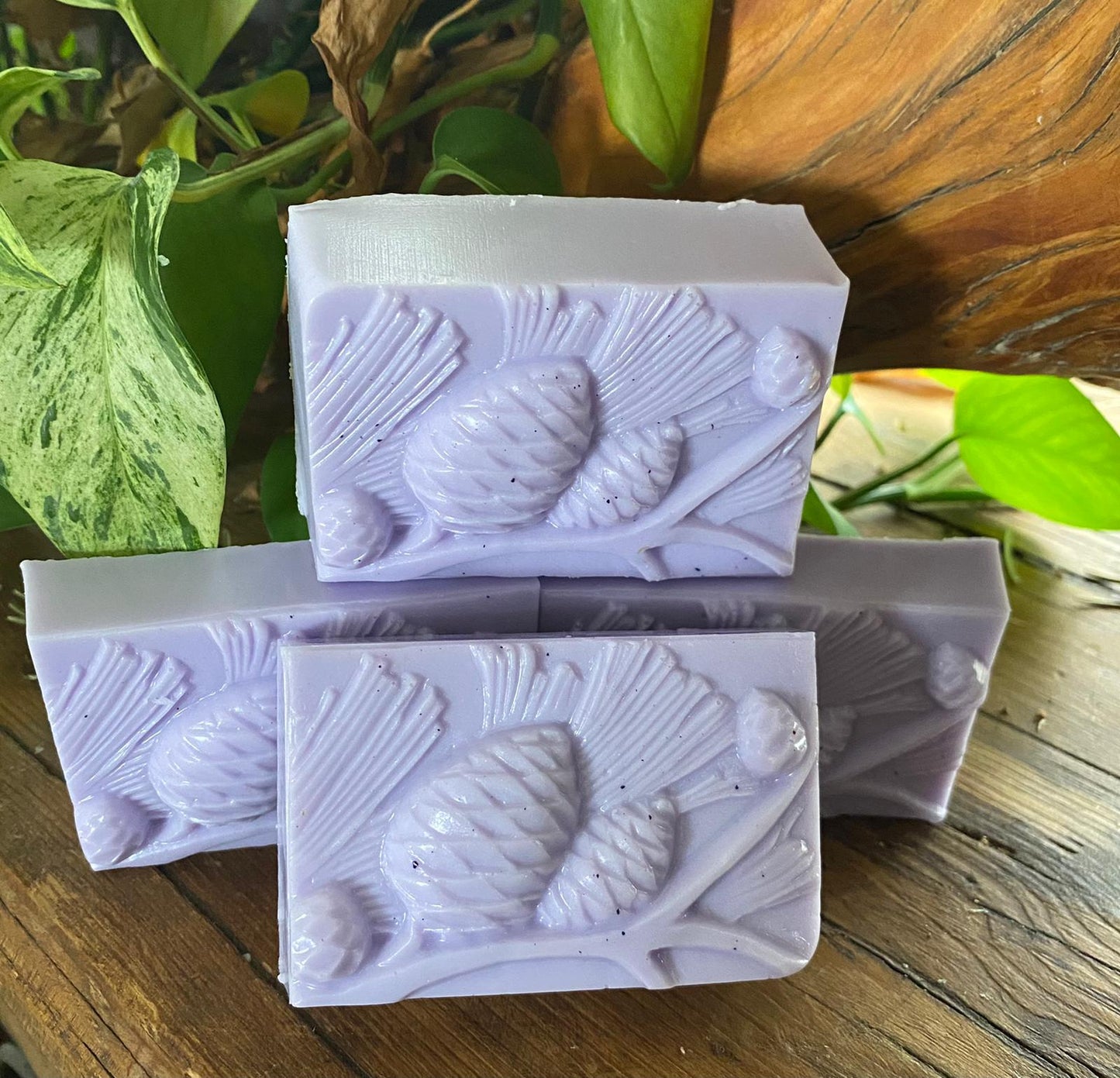 Lavender/Piñon soap